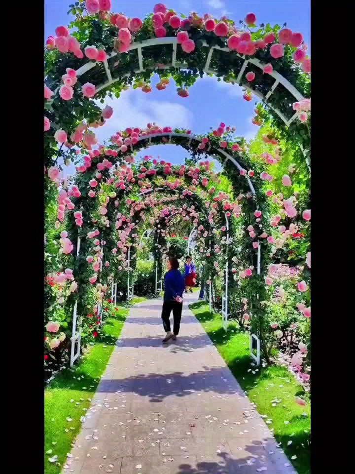 Large Size 7, 2ft Round Top With Door And Planting Frame, Black Iron Art, 16mm Pipe, Iron Arch, Courtyard (additional Styles Are Available For You To Choose)